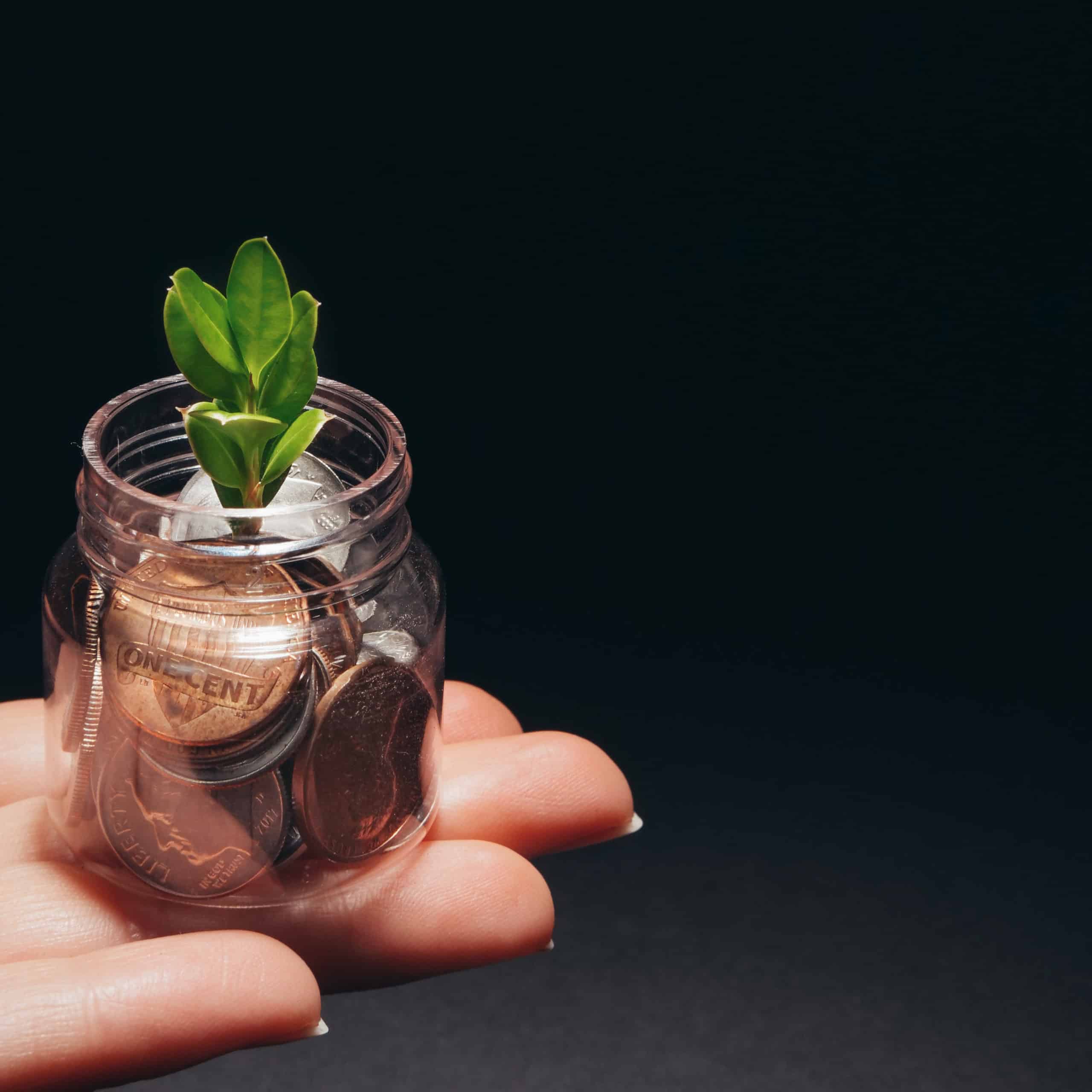 Une plante qui pousse dans de petites pièces de monnaie, dans un bocal de verre, porté par une main sur fond noir.