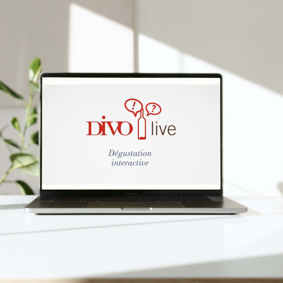 Animation DIVO live, dégustation interactive, sur l'écran d'un laptop.